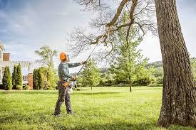 Why Choose Our Tree Removal Services in Whitehouse, TX?